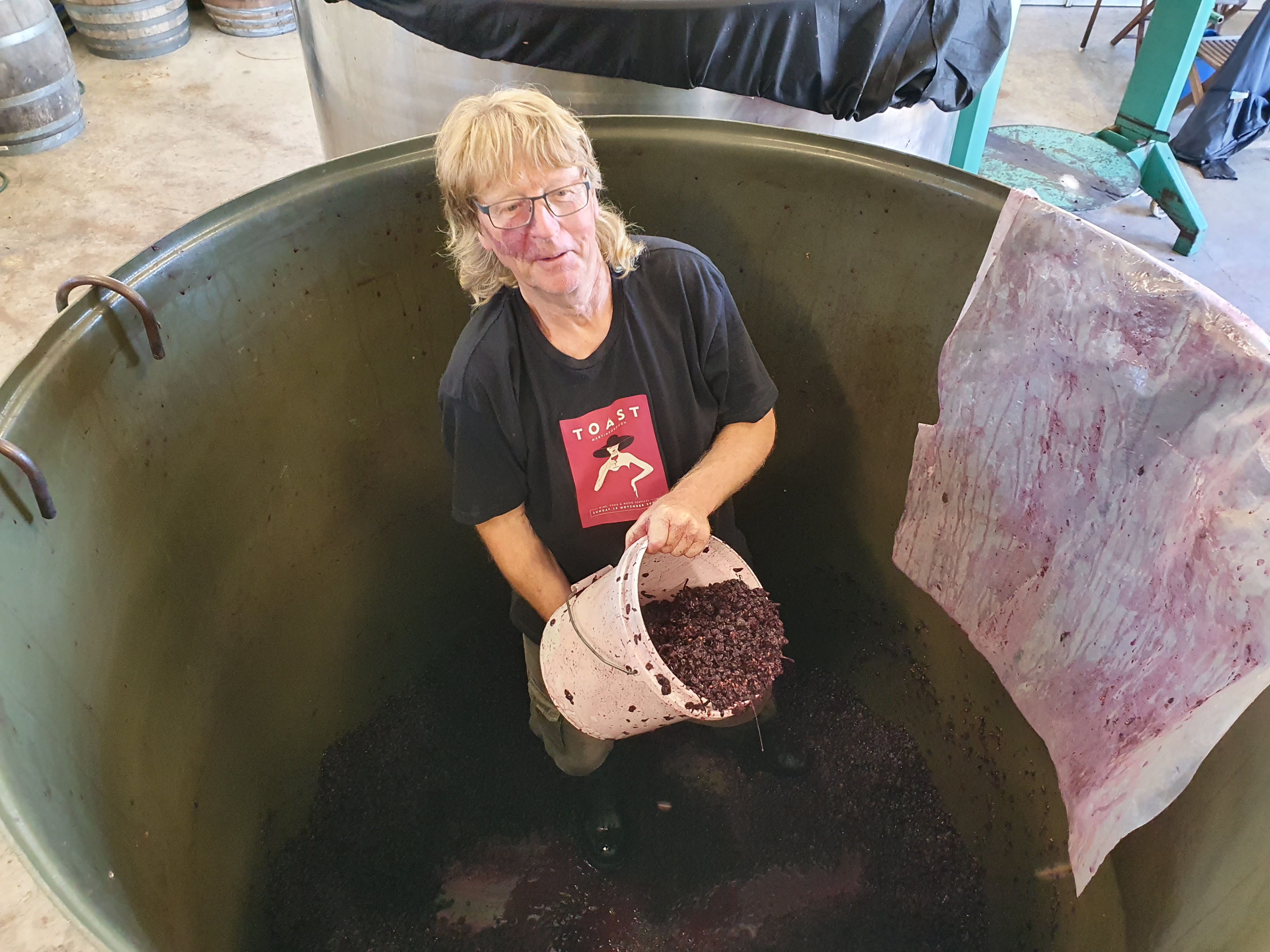 Winemaker in a vat of grapes