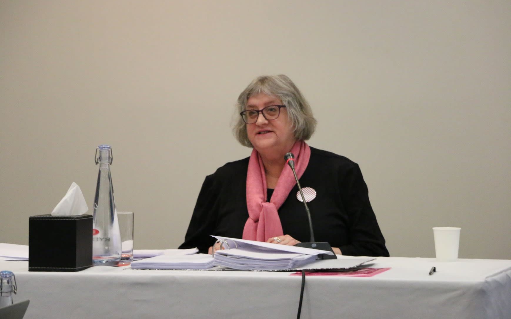 Dr Hilary Stace gives testimony
