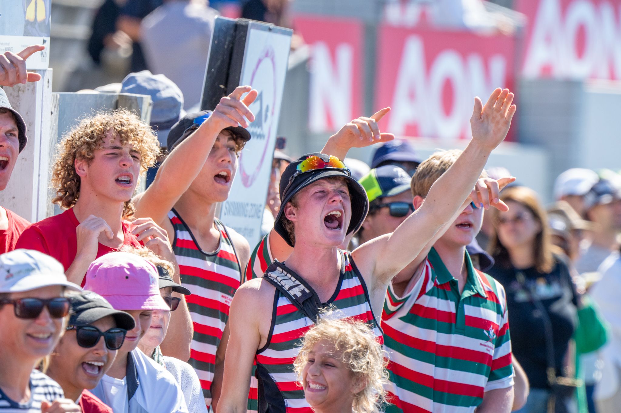 Fans cheering in support
